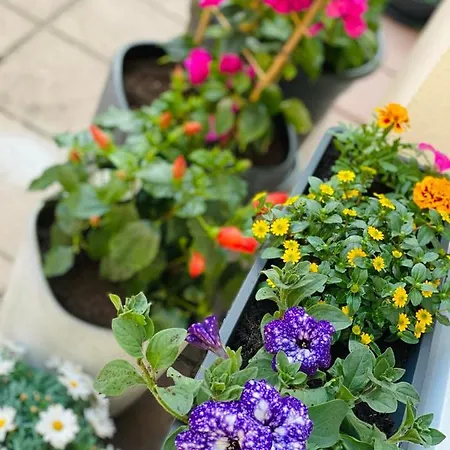 Burghotel Отель Нюрнберг