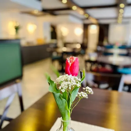 Burghotel Отель 3*