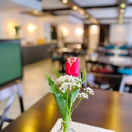 Burghotel فندق 3*